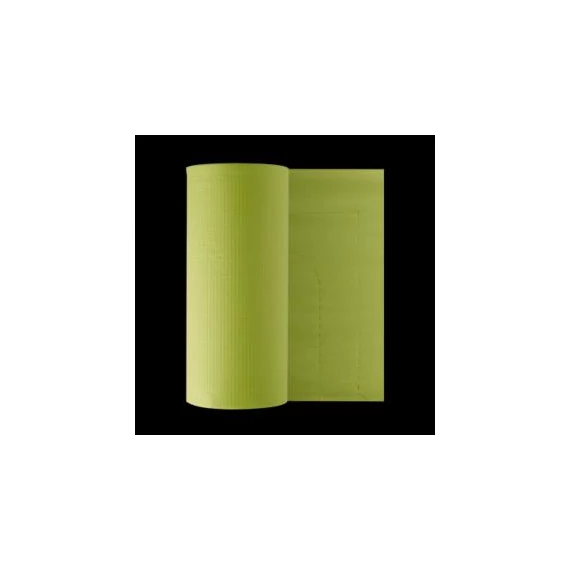Nyálkendő Paperject papír-műanyag PG30 lime, tekercses 80db-os EURONDA